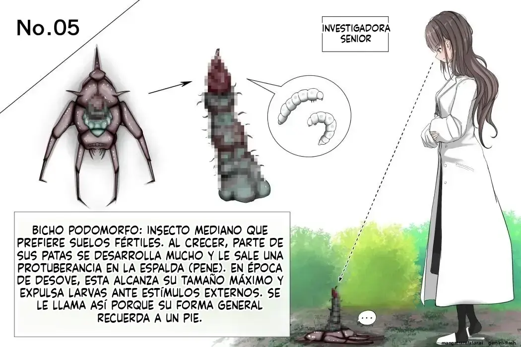 Página 19