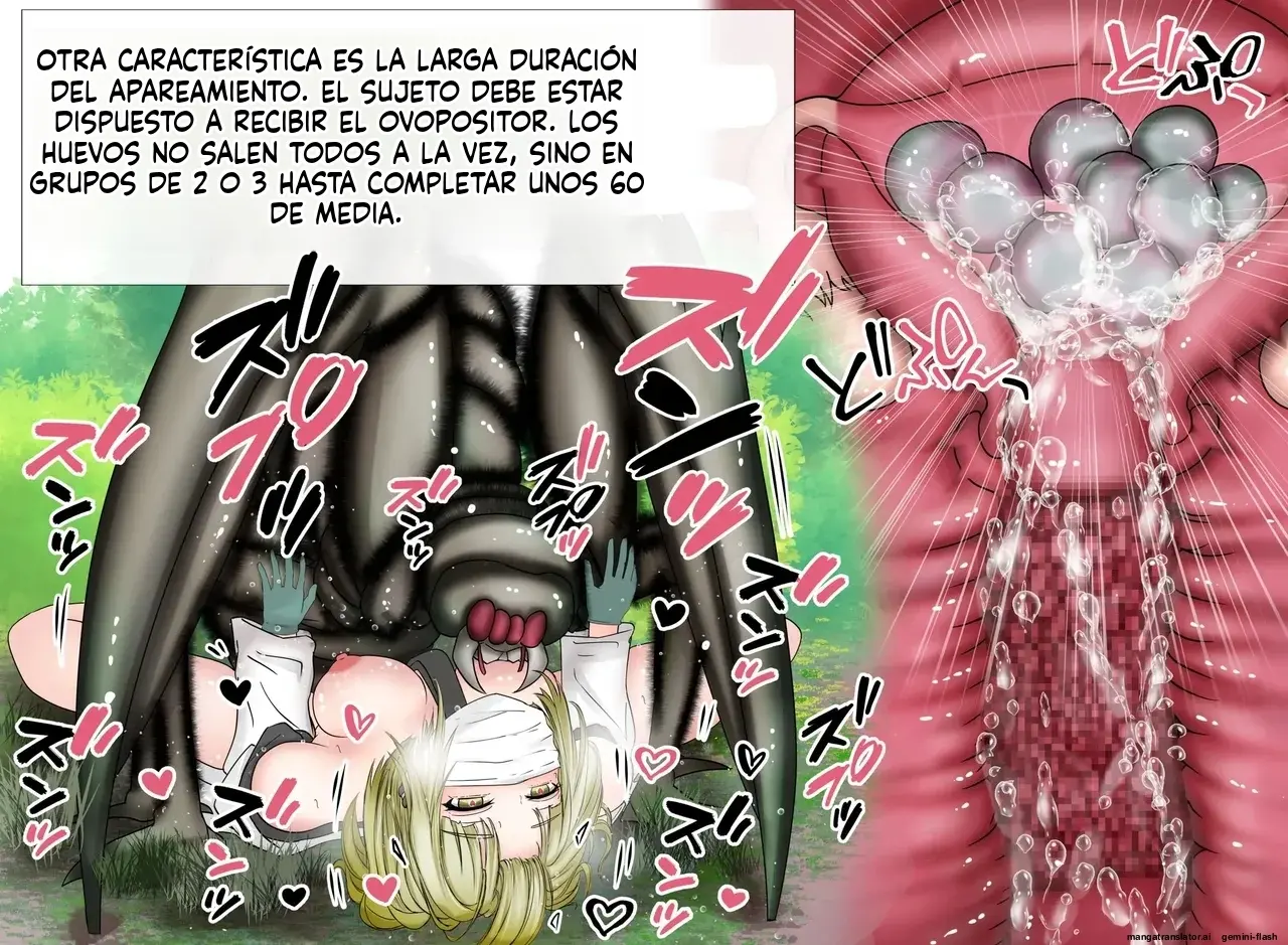 Página 41