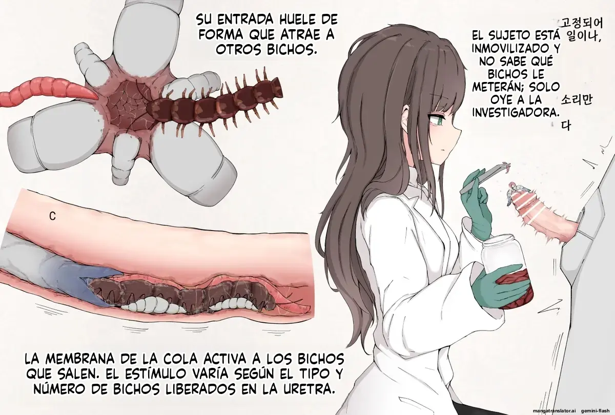 Página 182