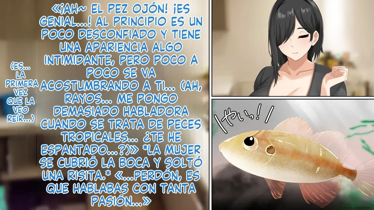 Página 27