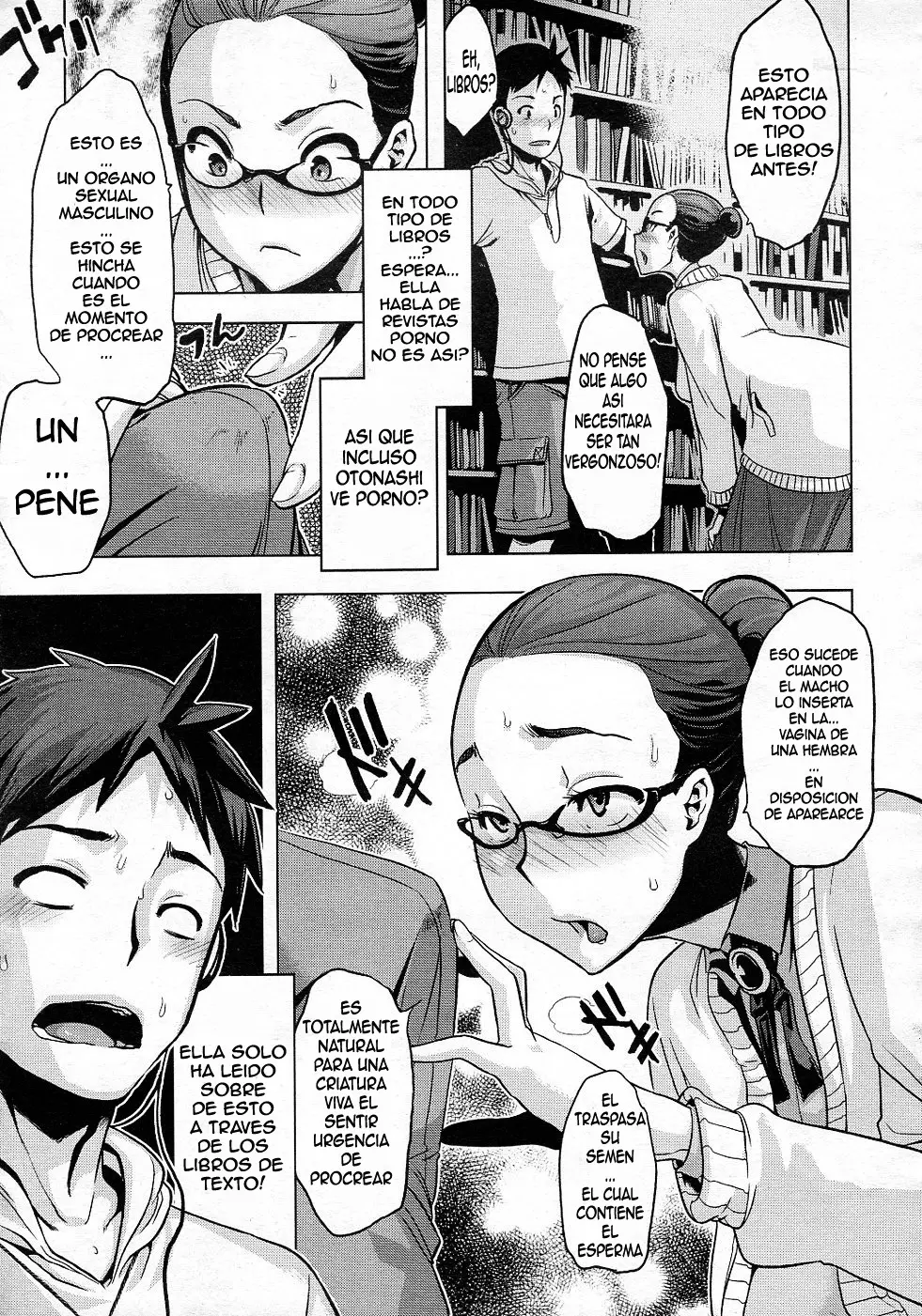 Página 13