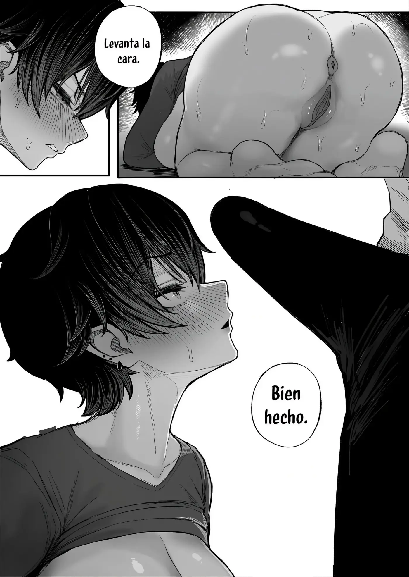 Página 26