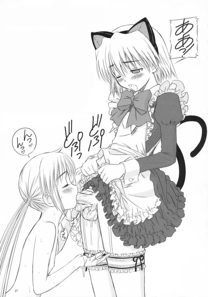 Página 37