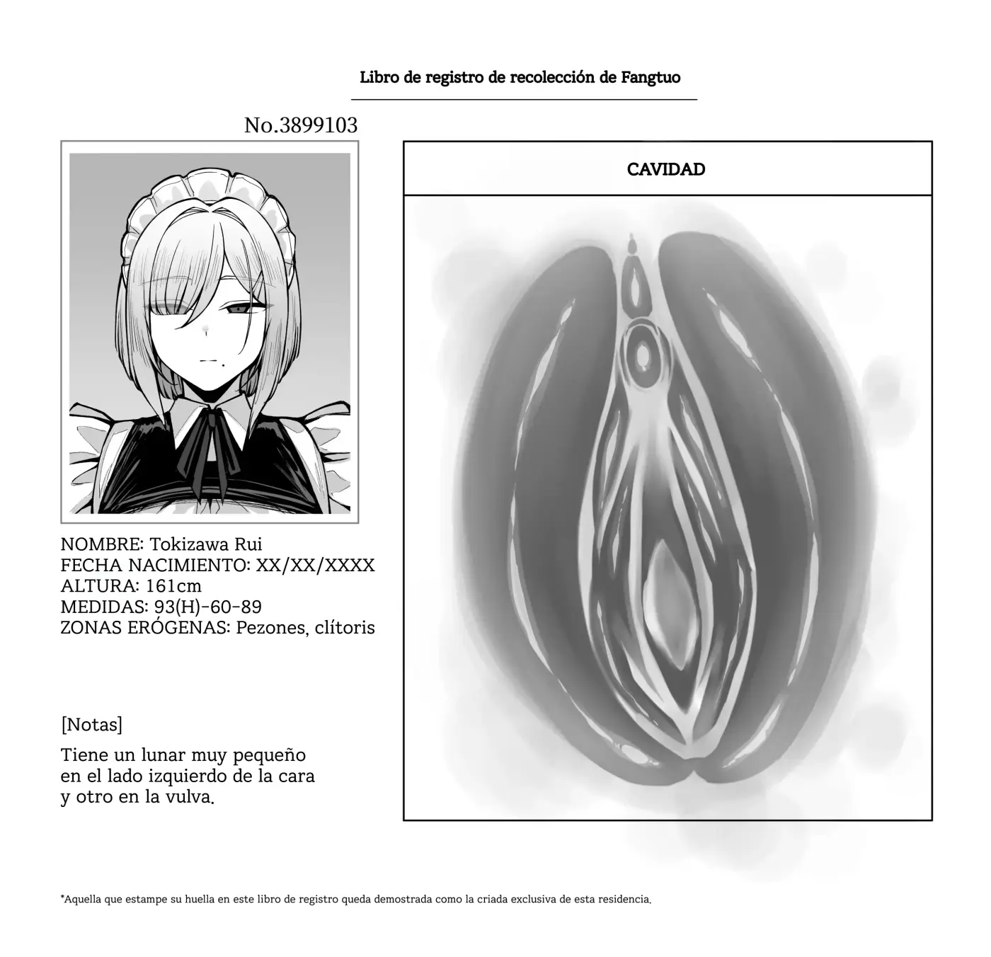 Página 17