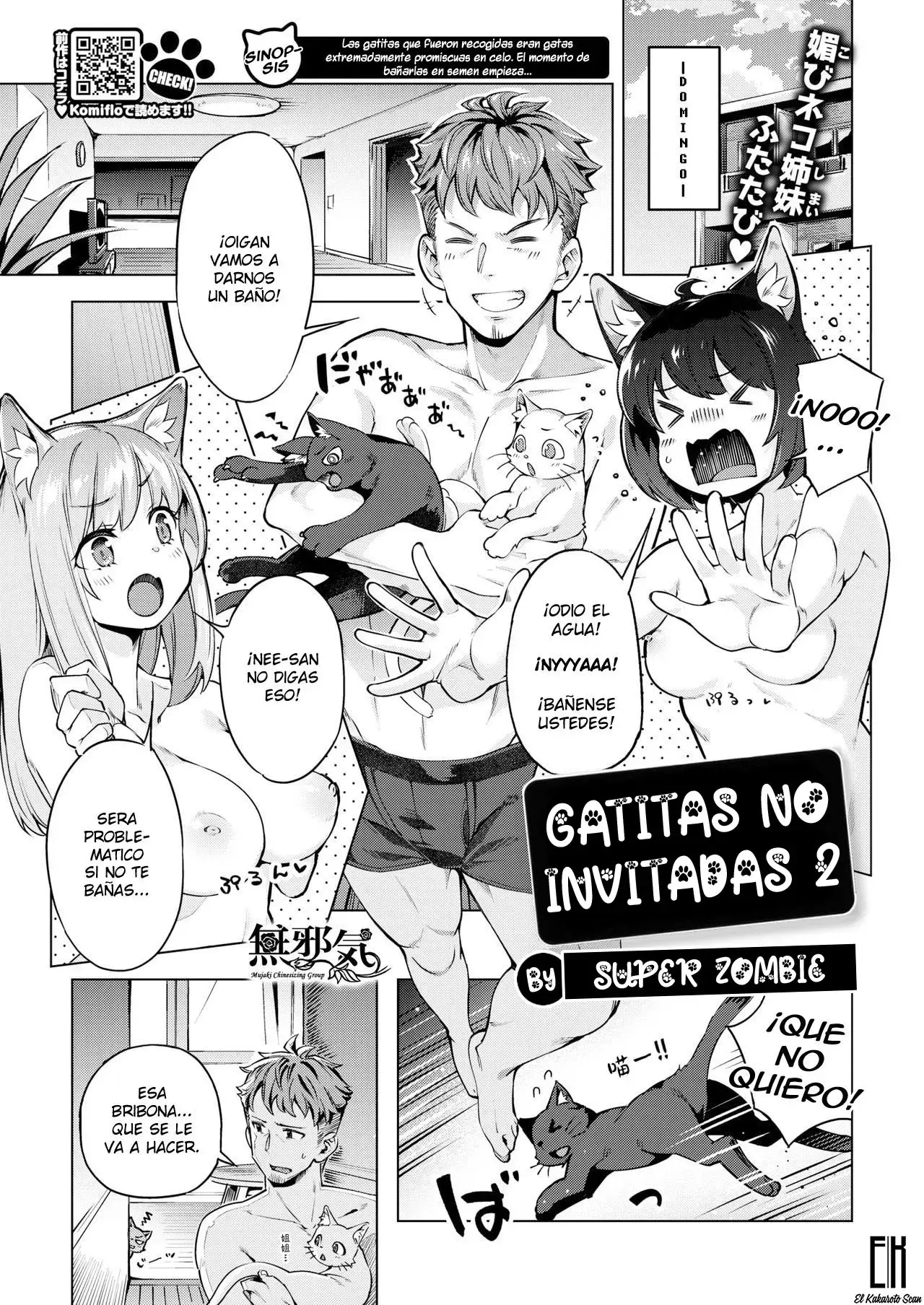Página 17