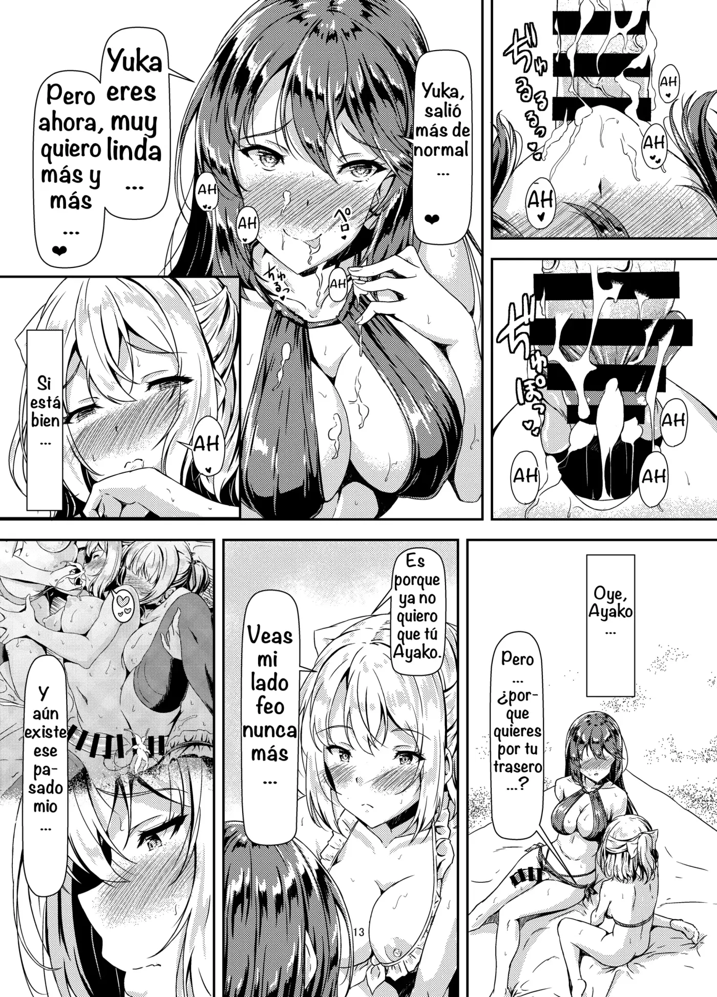 Página 13