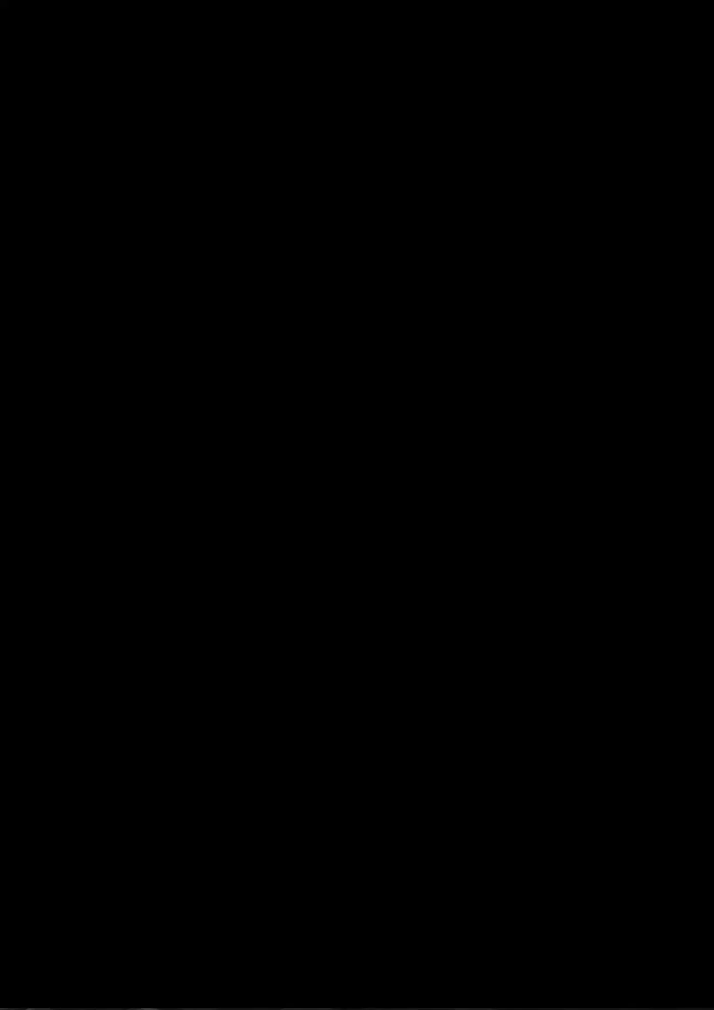 Página 95