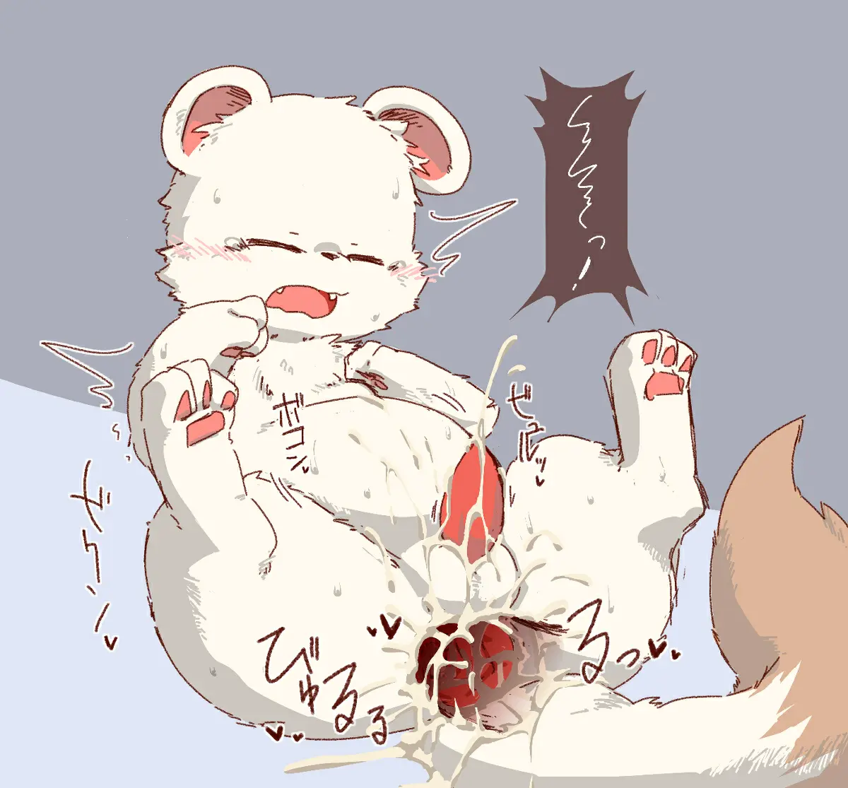 Página 247