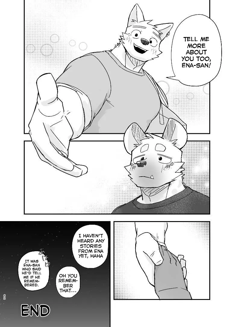 Página 61
