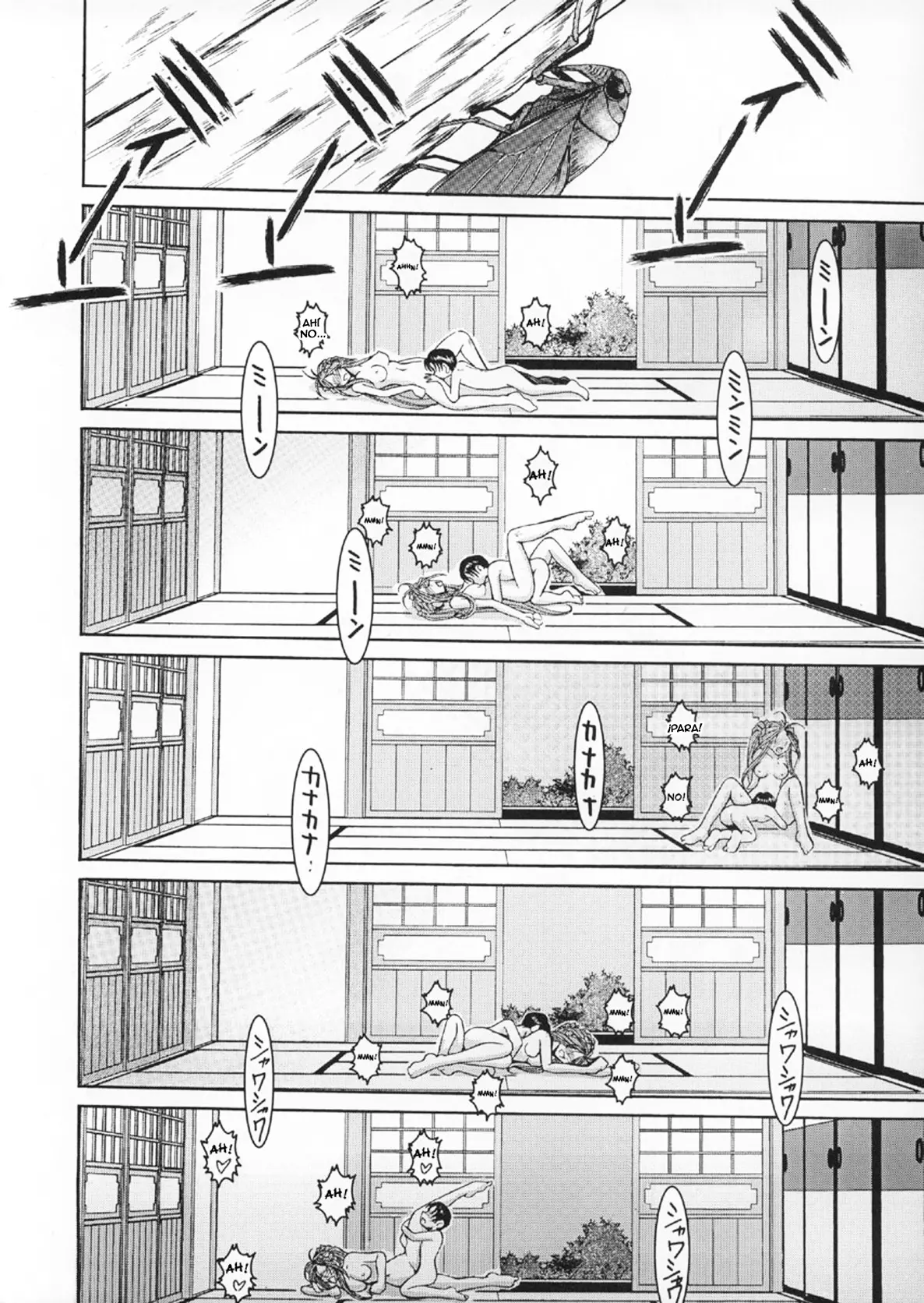 Página 36