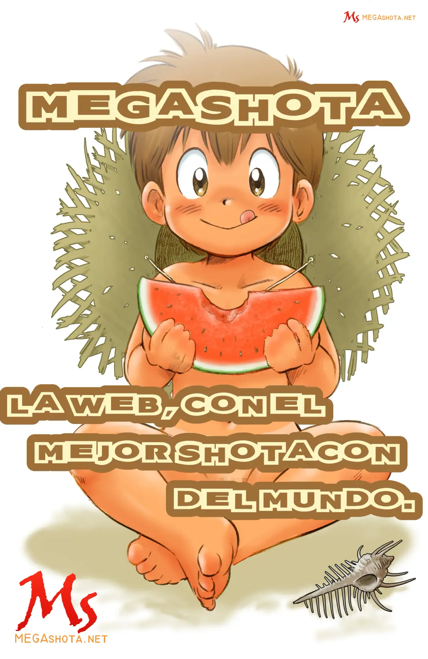 Página 17