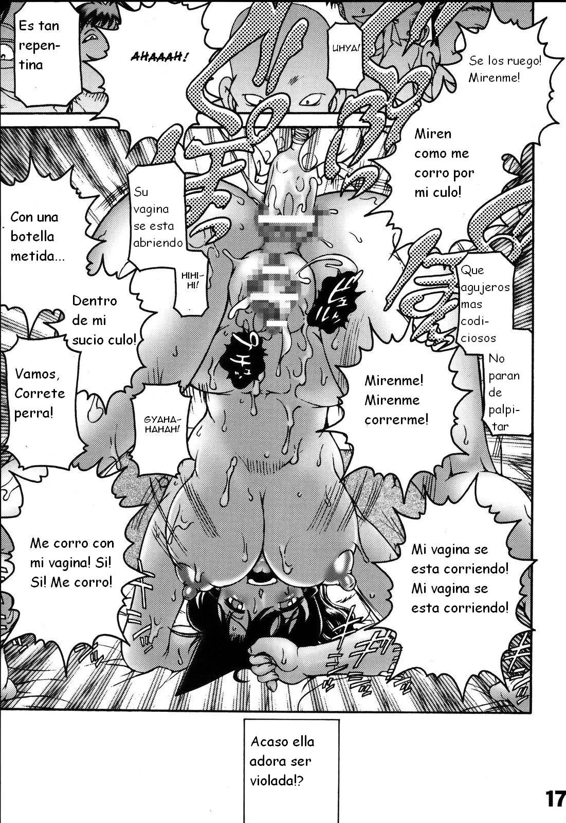 Página 17