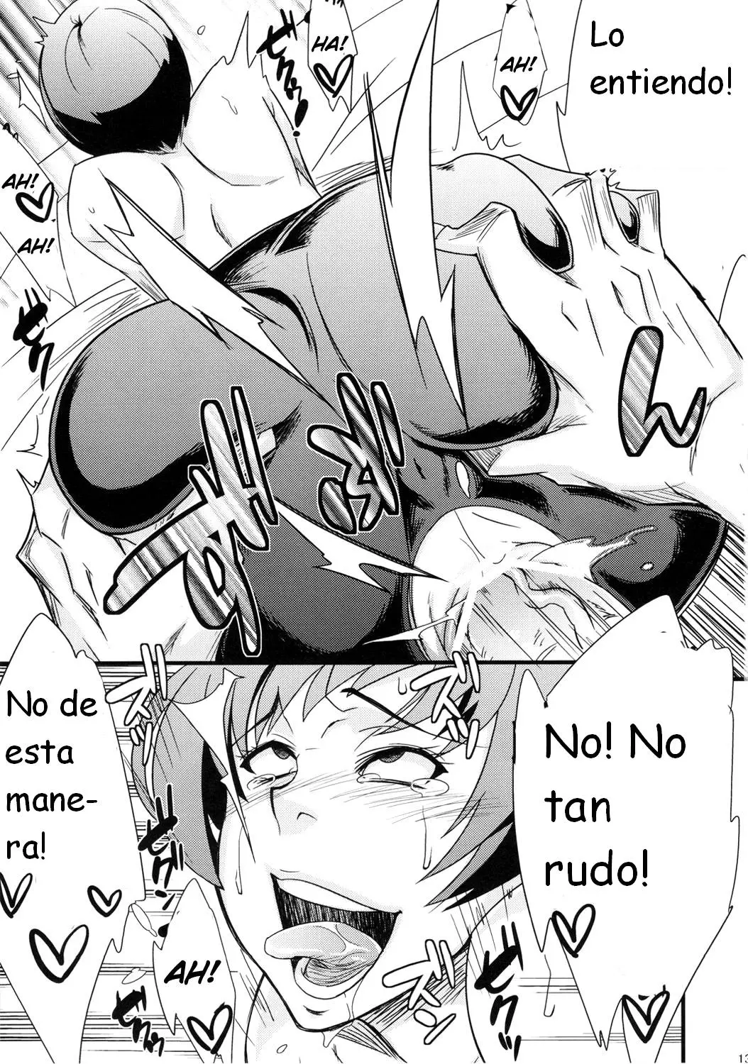 Página 13