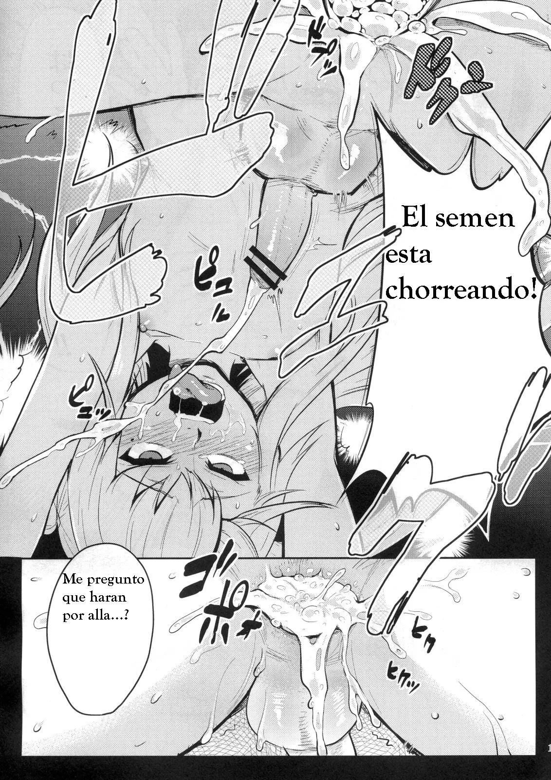 Página 17
