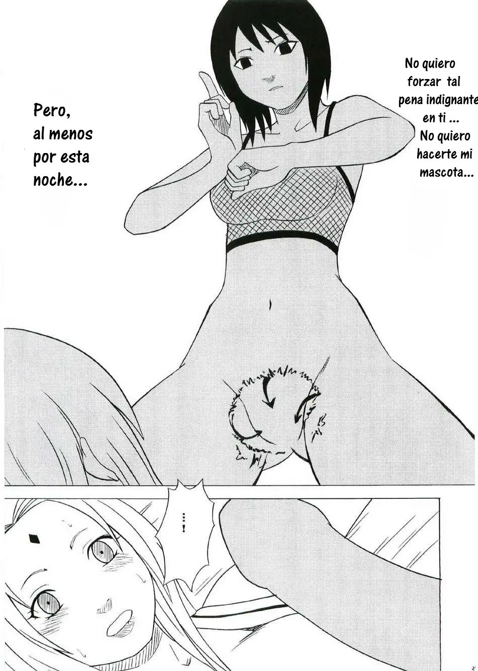 Página 26