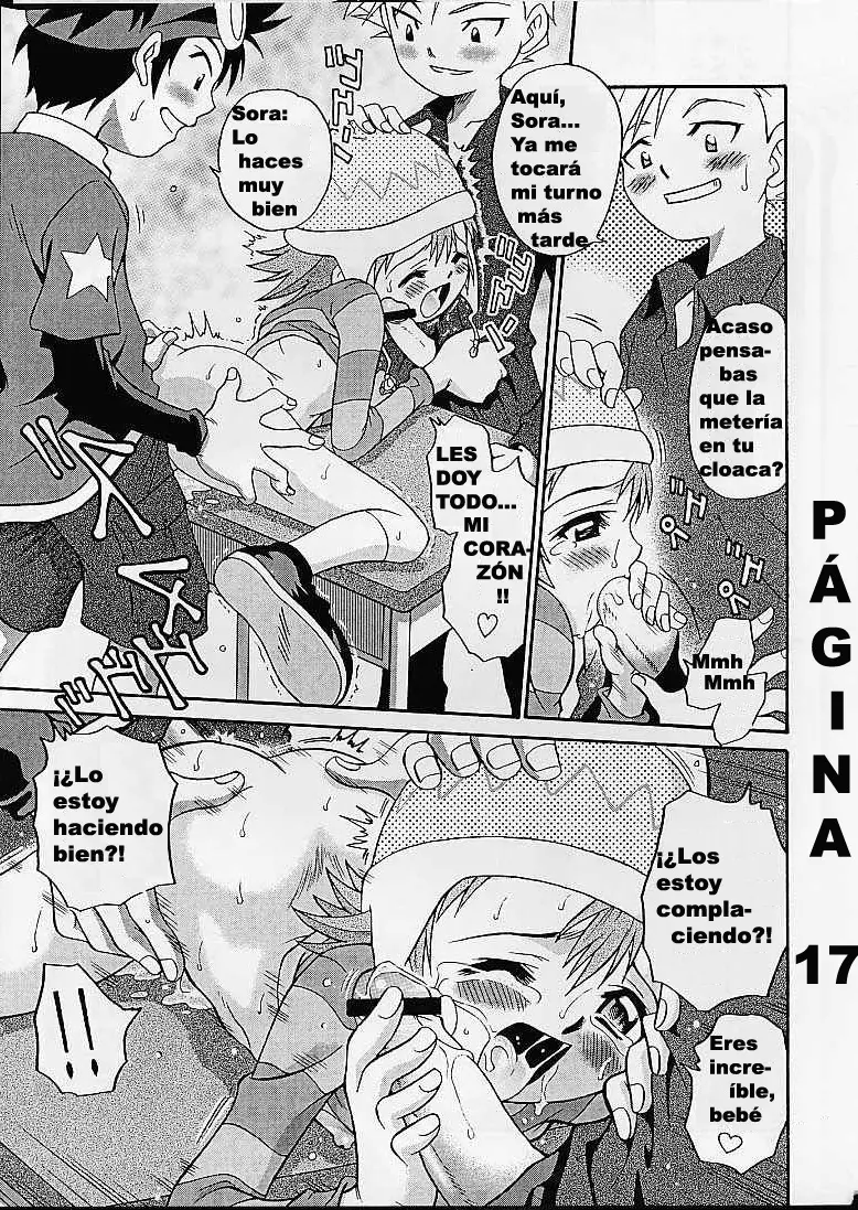 Página 17