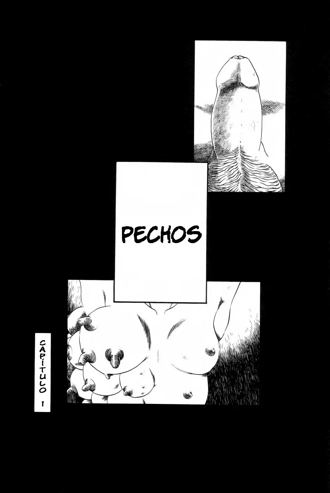 Página 15