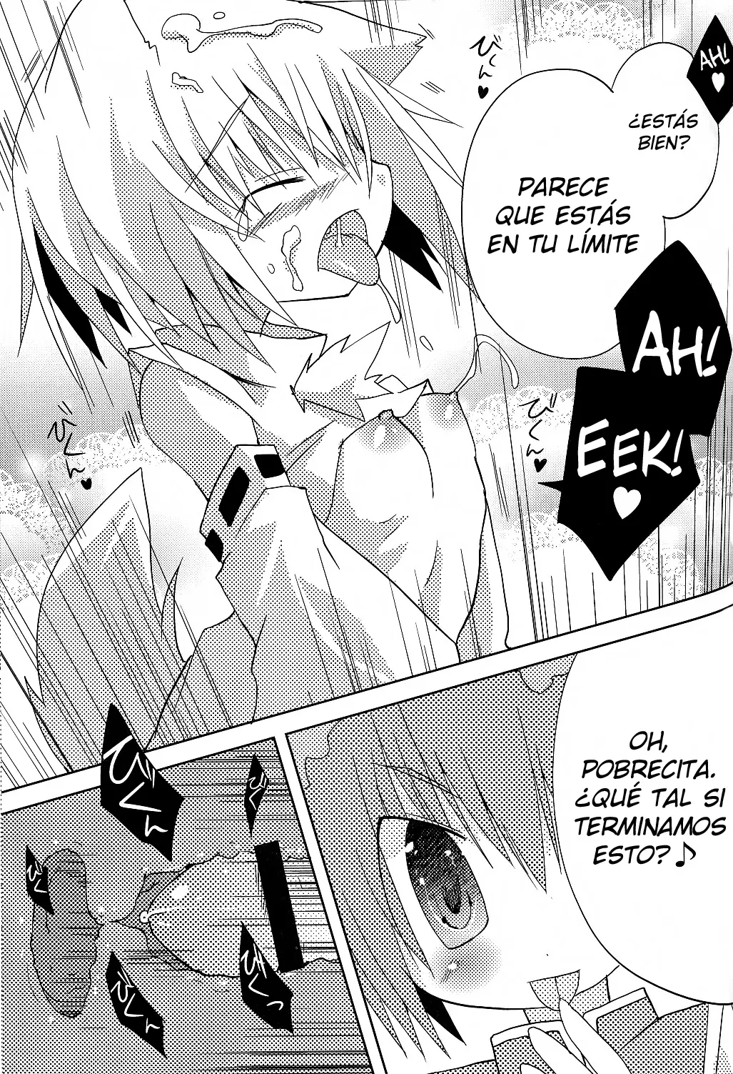 Página 17