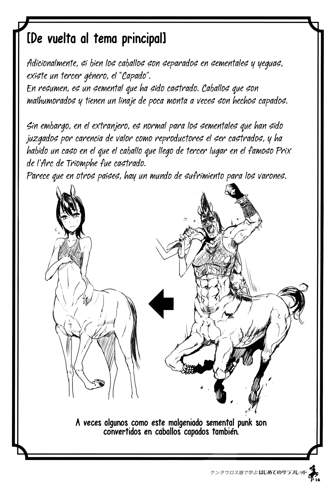 Página 15
