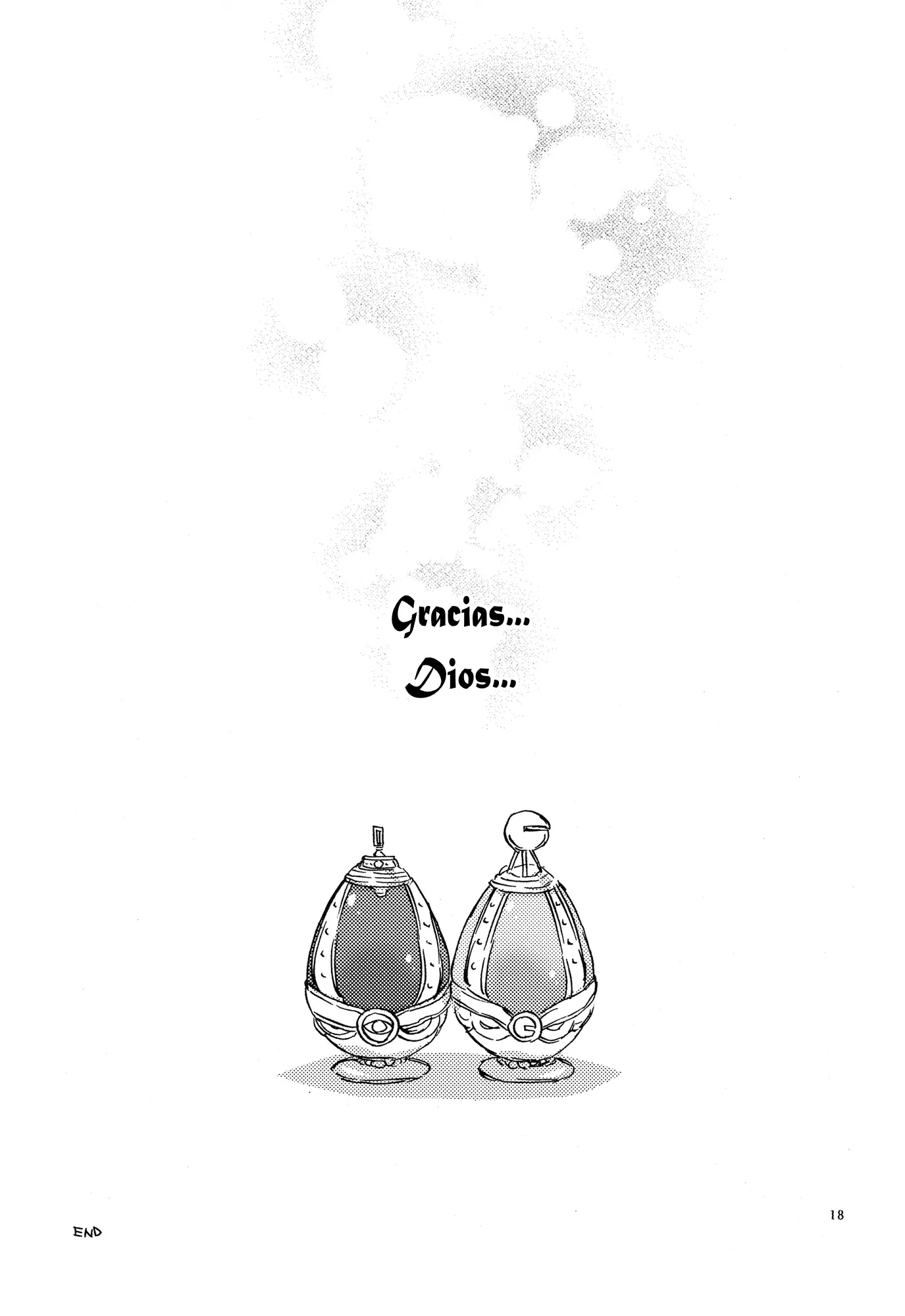 Página 17