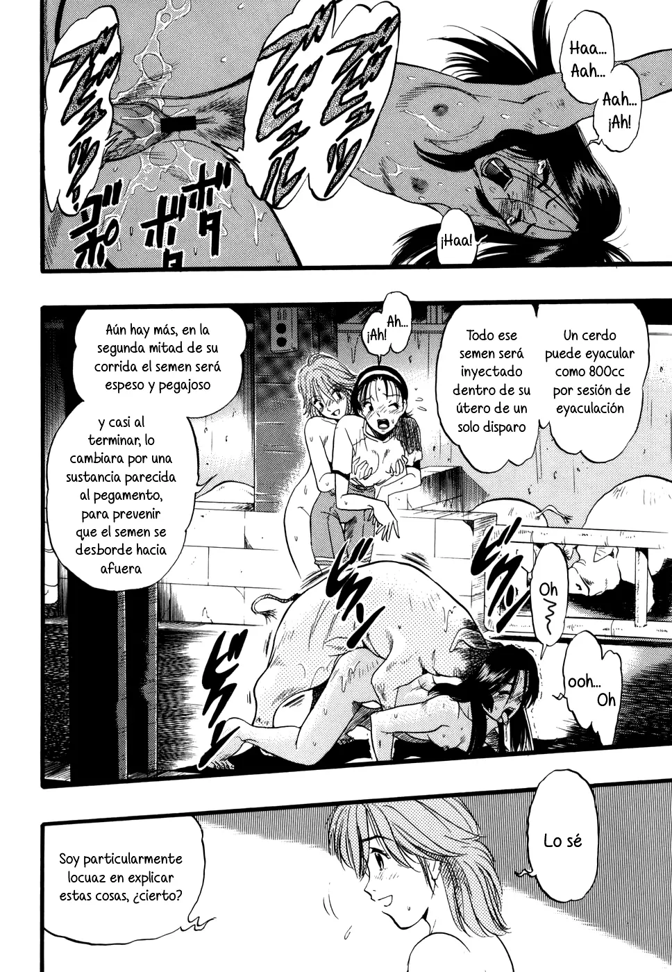 Página 50