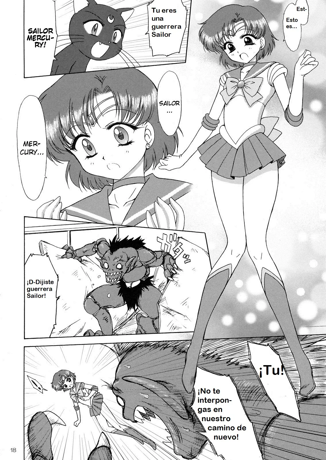 Página 17