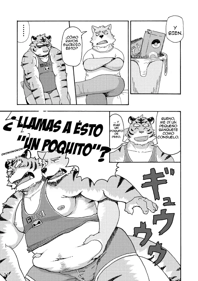 Página 12