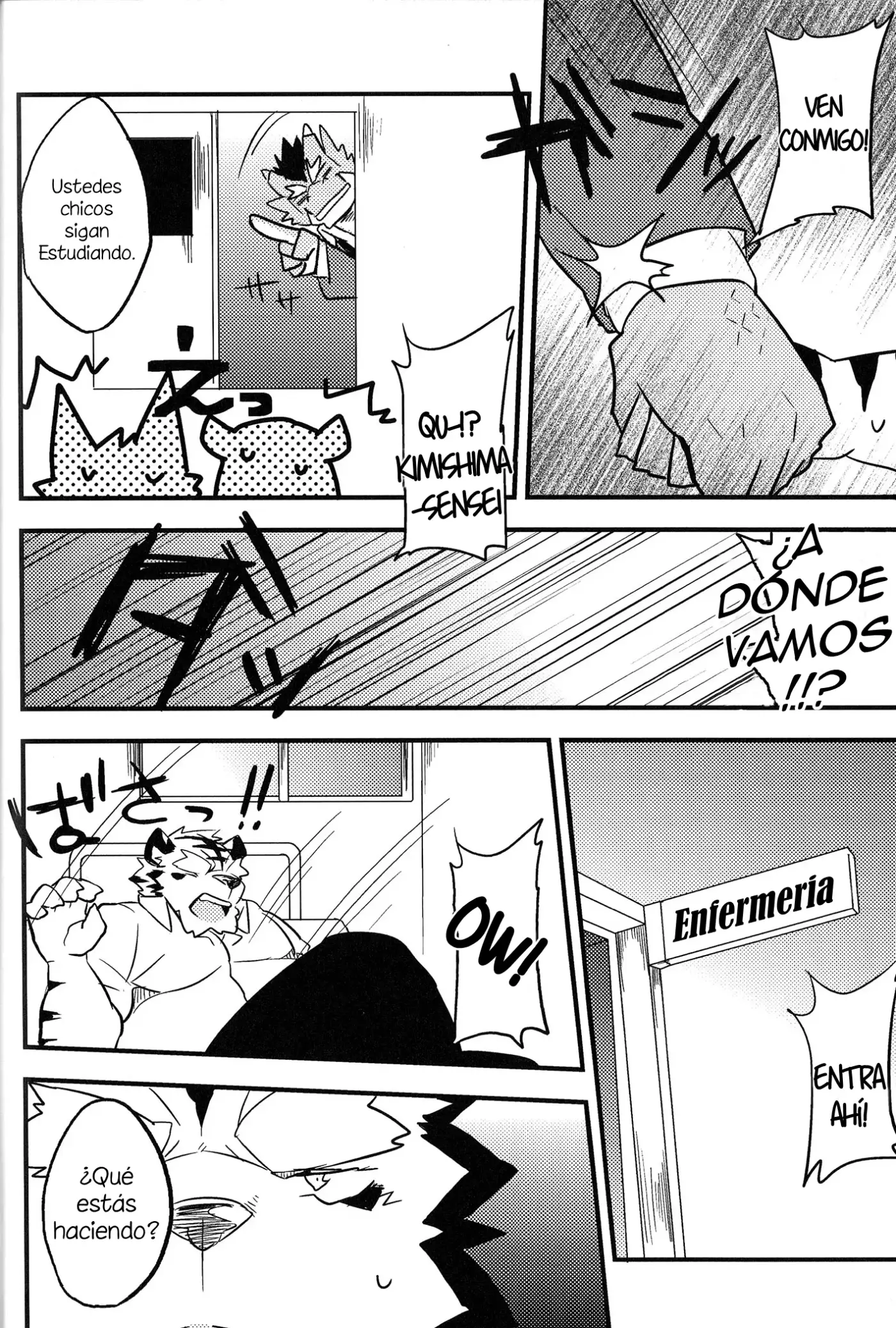 Página 17