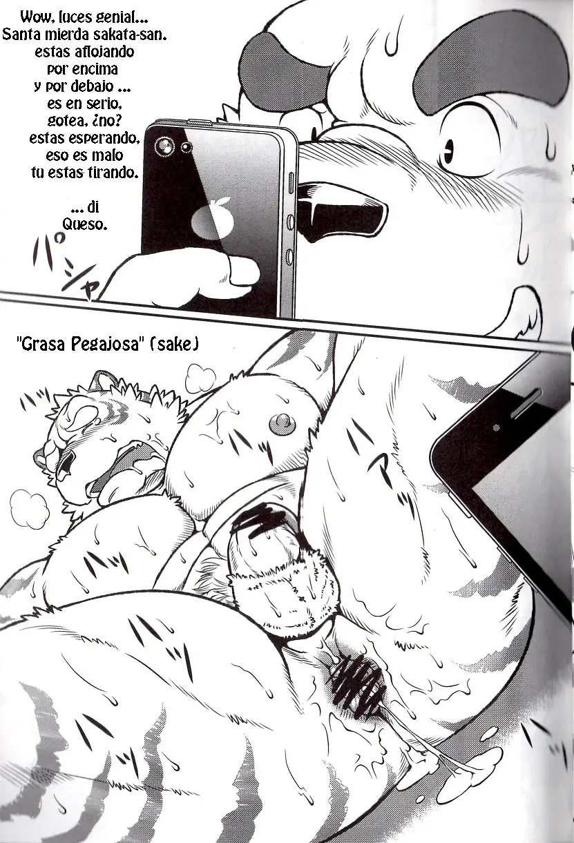 Página 14