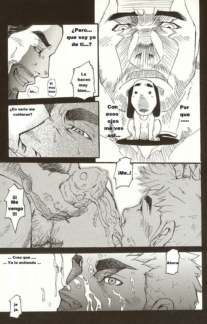 Página 13
