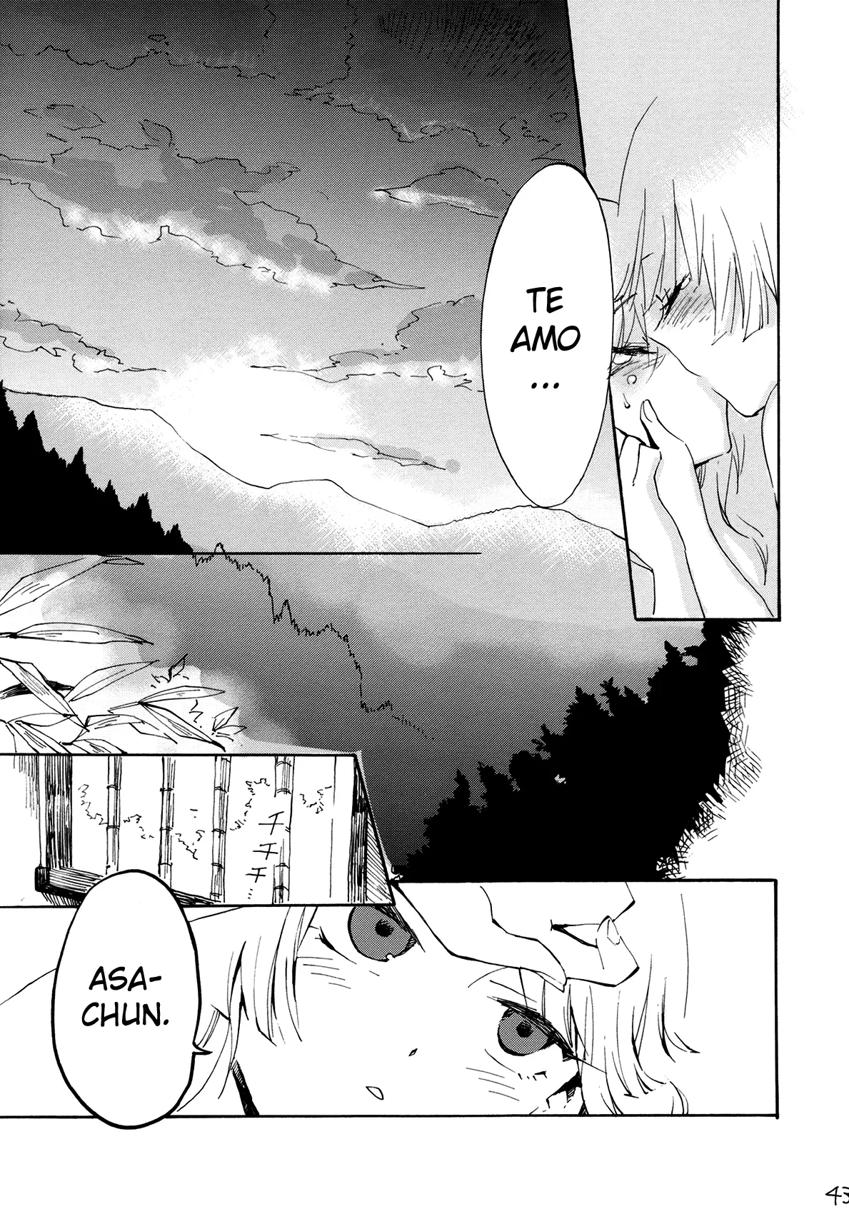 Página 43