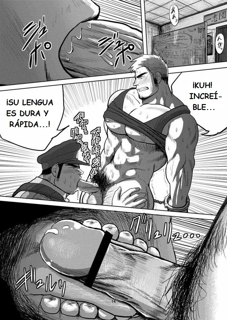 Página 13