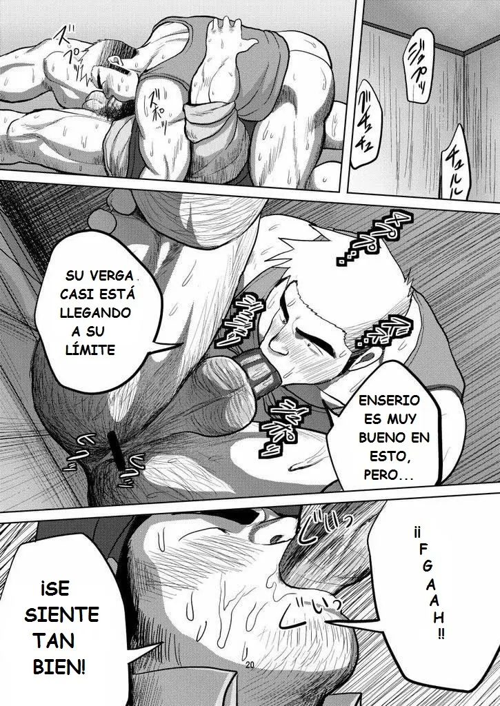 Página 19