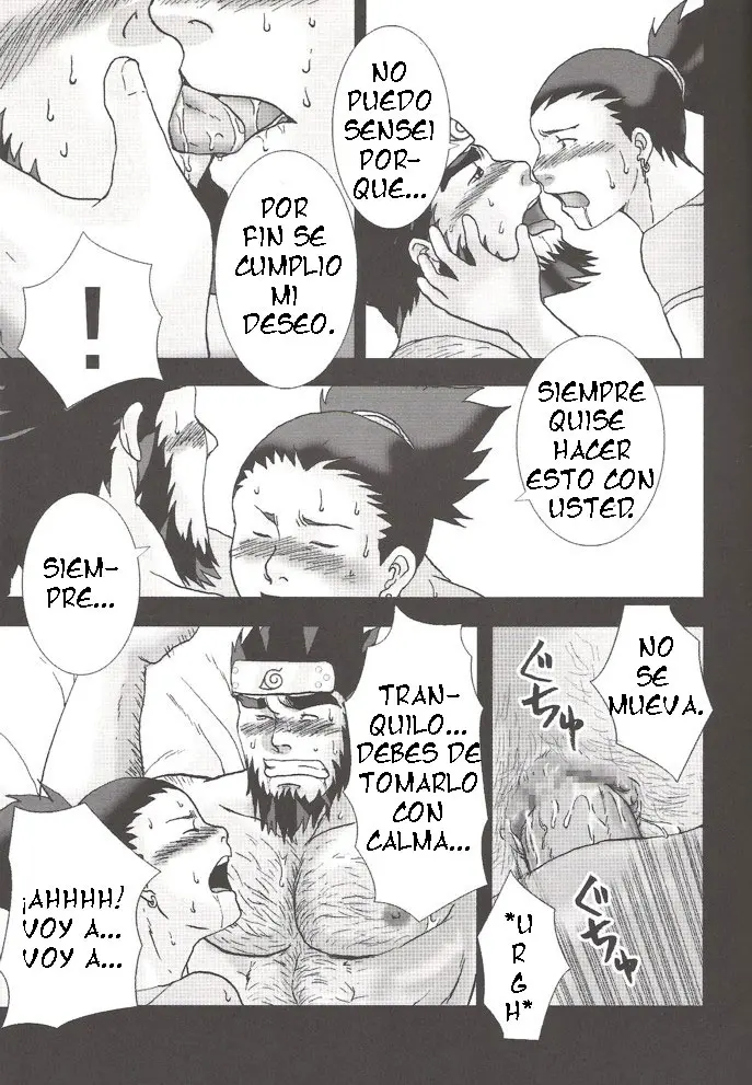 Página 14