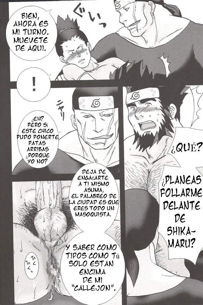 Página 17