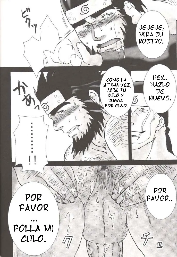 Página 19