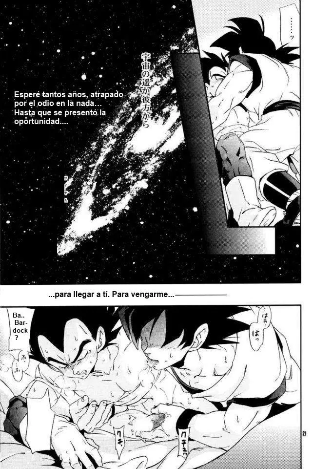 Página 19