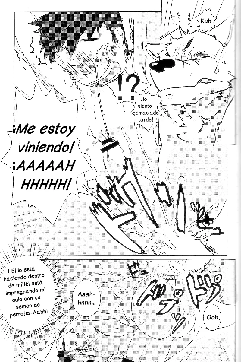 Página 17