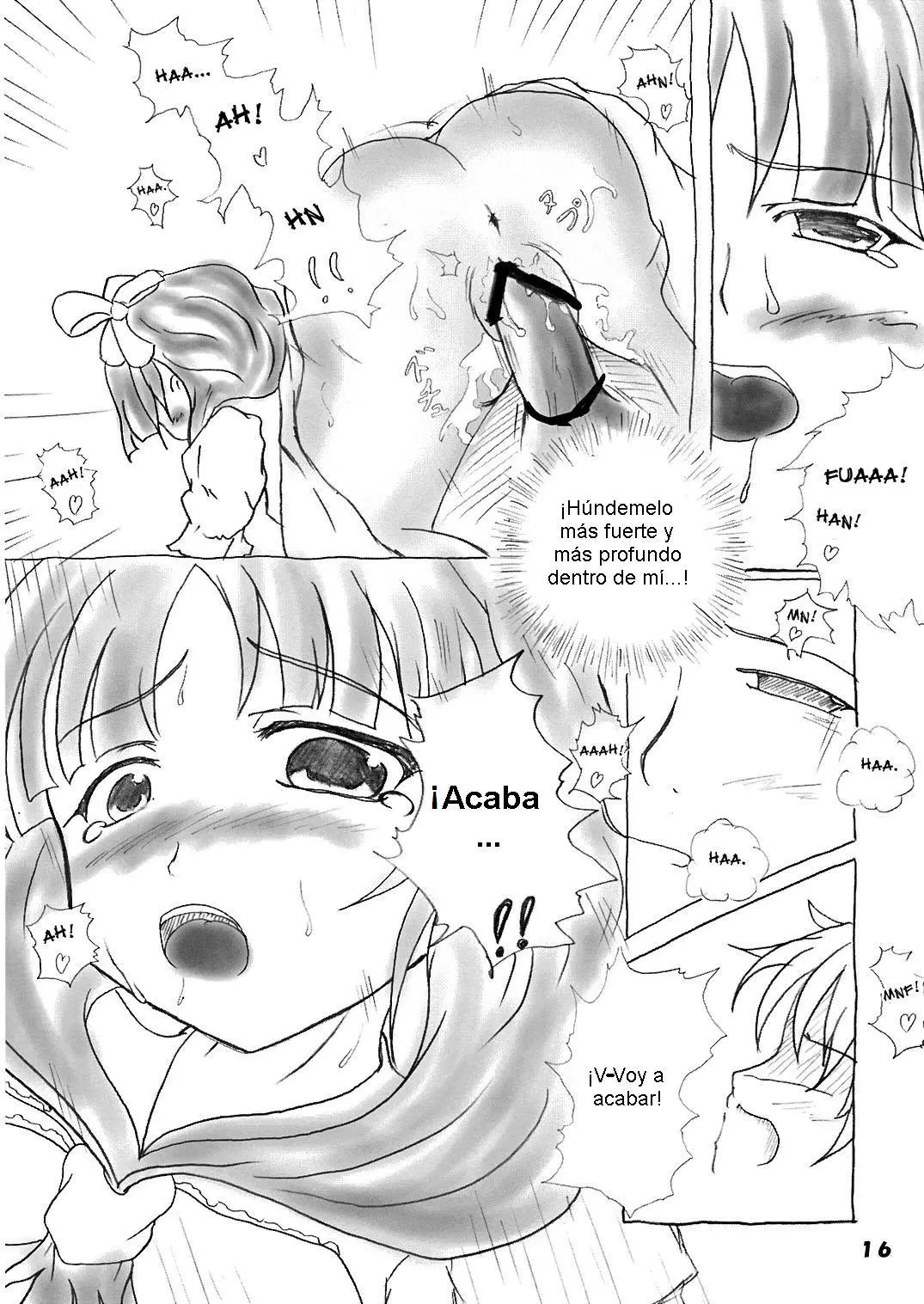 Página 17
