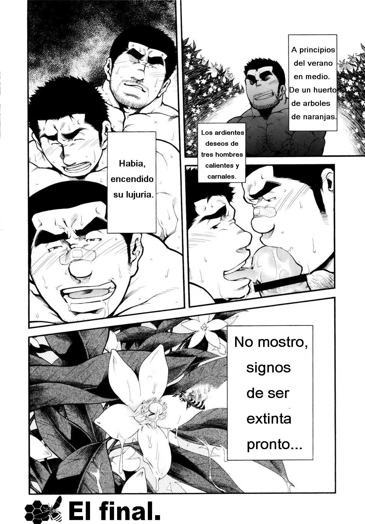 Página 24