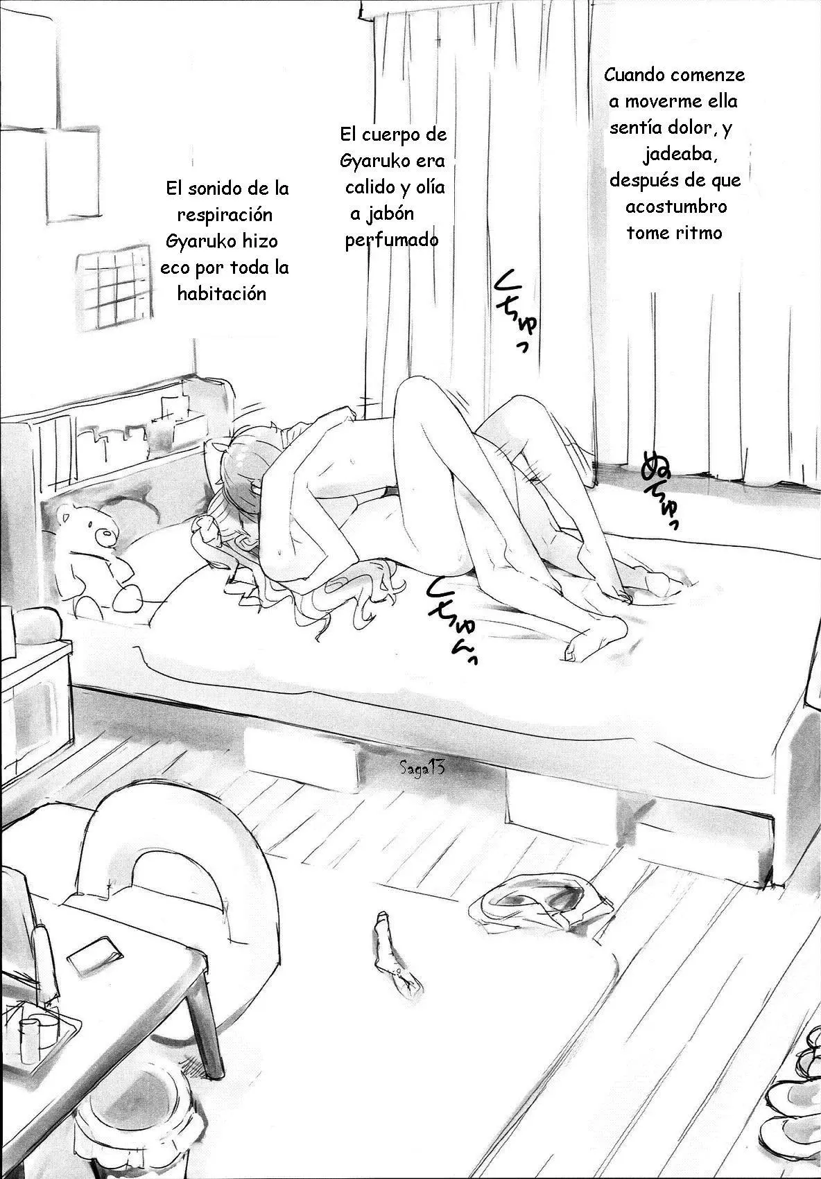 Página 13
