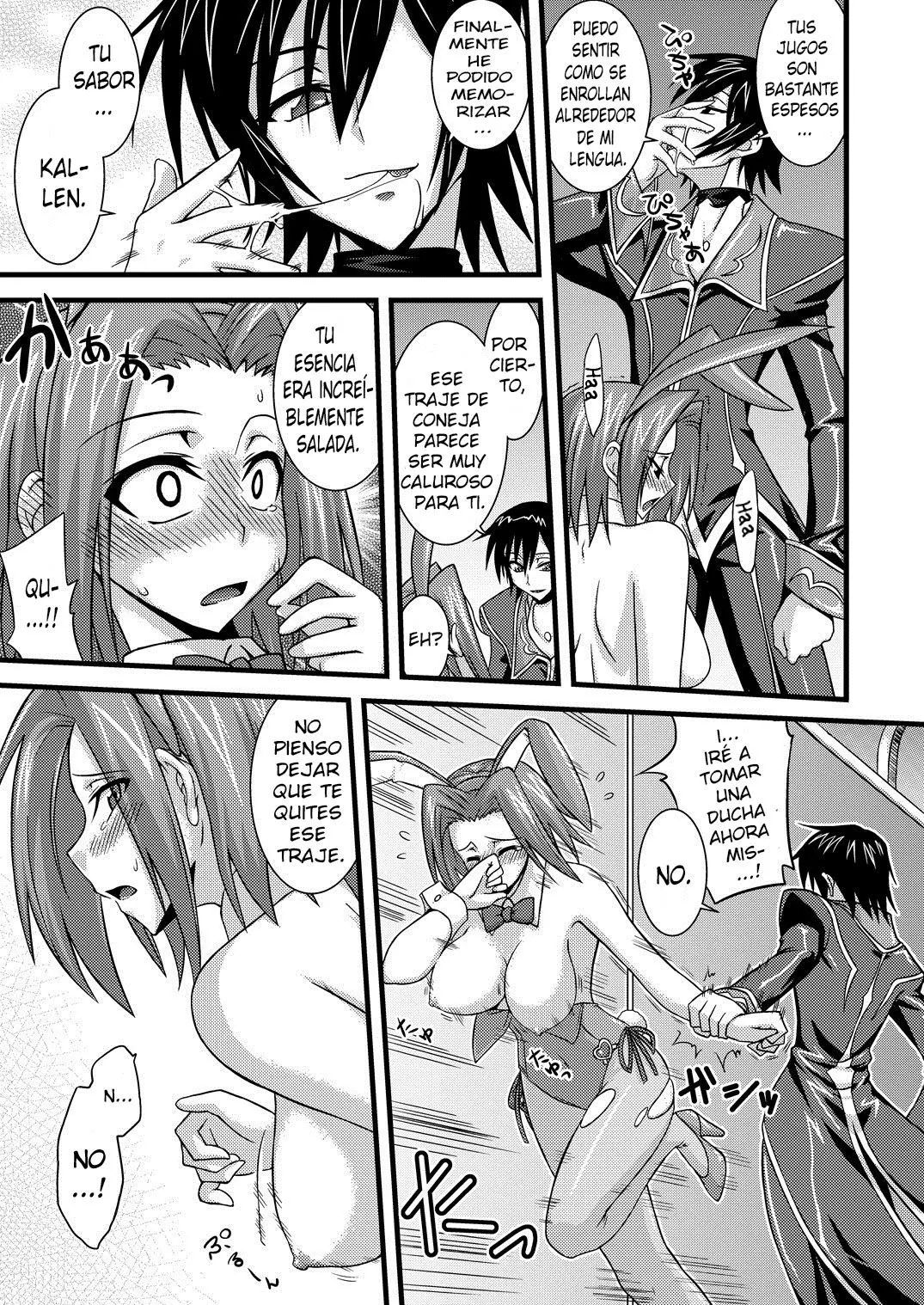 Página 13