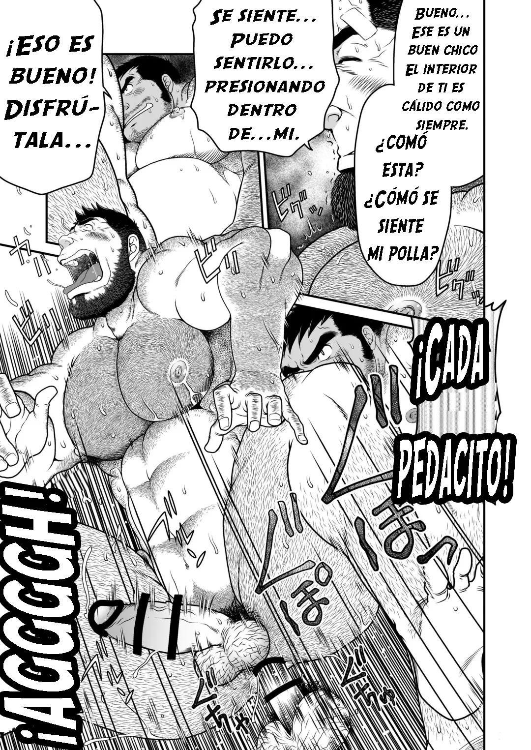 Página 26